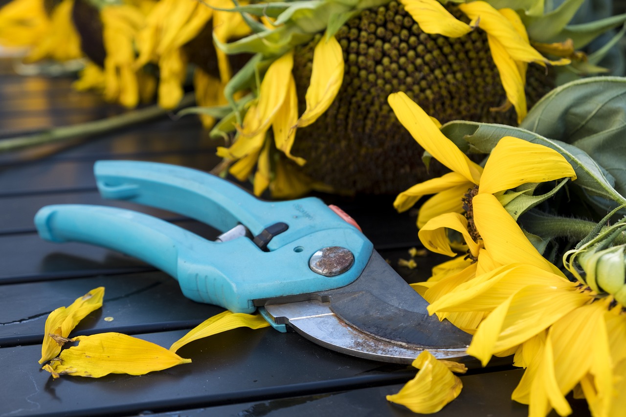 Jak nabrousit zahradní nůžky ve 4 jednoduchých krocích