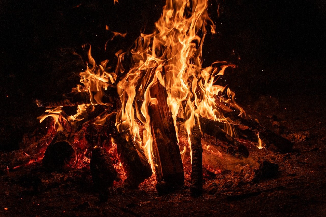 Výhody, vlastnosti výběru a skladování bukového palivového dřeva